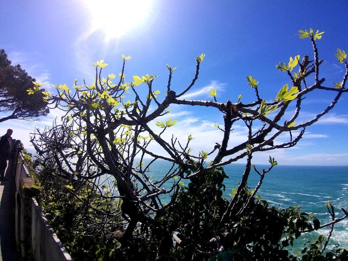Suite Riomaggiore Ngoại thất bức ảnh